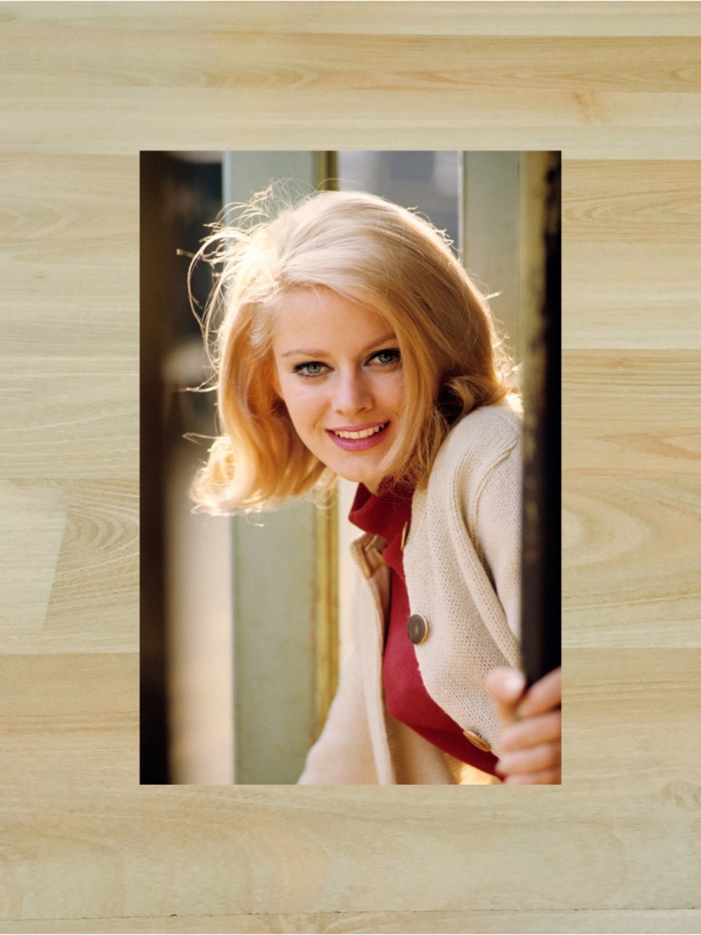 1960s Anne Randall American Actress 4x6 Photo Print